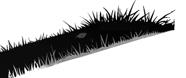 grass