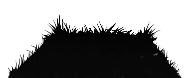 grass