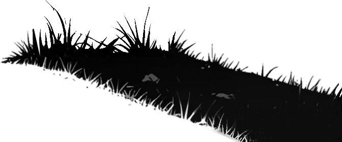 grass